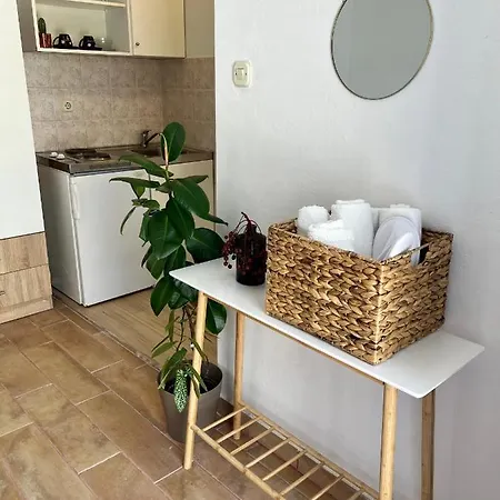 Apartment Ruza